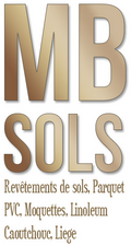 MB sols partner logo